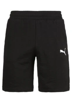 Puma Teamgoal 23 Casuals Trainingsshort Herren - Sports Shorts