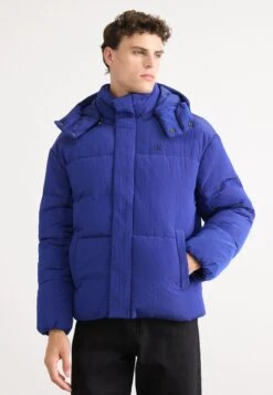 Calvin Klein Jeans LOGO HOODED - Winter Jacket - Bellwether Blue