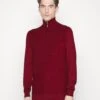 Tom Tailor Structured Troyer - Jumper - Ivy Red