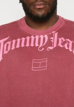 Plus Arch Crew - Sweatshirt - Rouge -Indicode Men Wear Shop 40cb16afe9b5435fb004d1ec0627d038