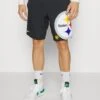 Nike Performance Nfl Pittsburgh Steelers Short - Club Wear - Black/Anthracite