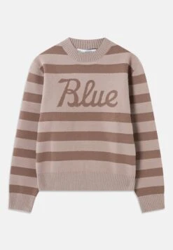 DUSTY ROSE BOXY CREWNECK - Jumper - Beige 12 DUSTY ROSE BOXY CREWNECK - Jumper - Beige -Indicode Men Wear Shop 7bfeefd5bfe74718bfbf655b0fb25c96