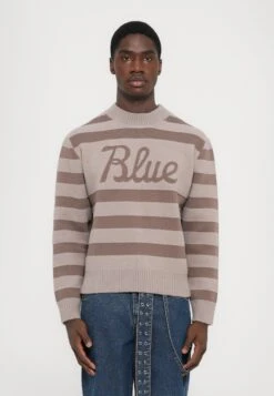 DUSTY ROSE BOXY CREWNECK - Jumper - Beige