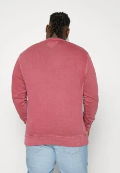 Plus Arch Crew - Sweatshirt - Rouge -Indicode Men Wear Shop 89c194193aad4c3cb3aa45835b546677