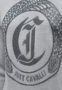 JUST CAVALLI LOGO - Jumper - Grigio Melange -Indicode Men Wear Shop b48725fe167345359b549c7e9411569e
