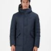 Blauer FAYWOOD - Winter Jacket - Navy